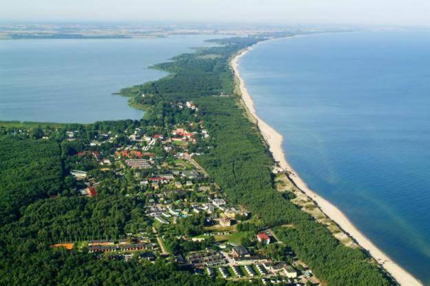 Verano * Osieki (Koszalin)