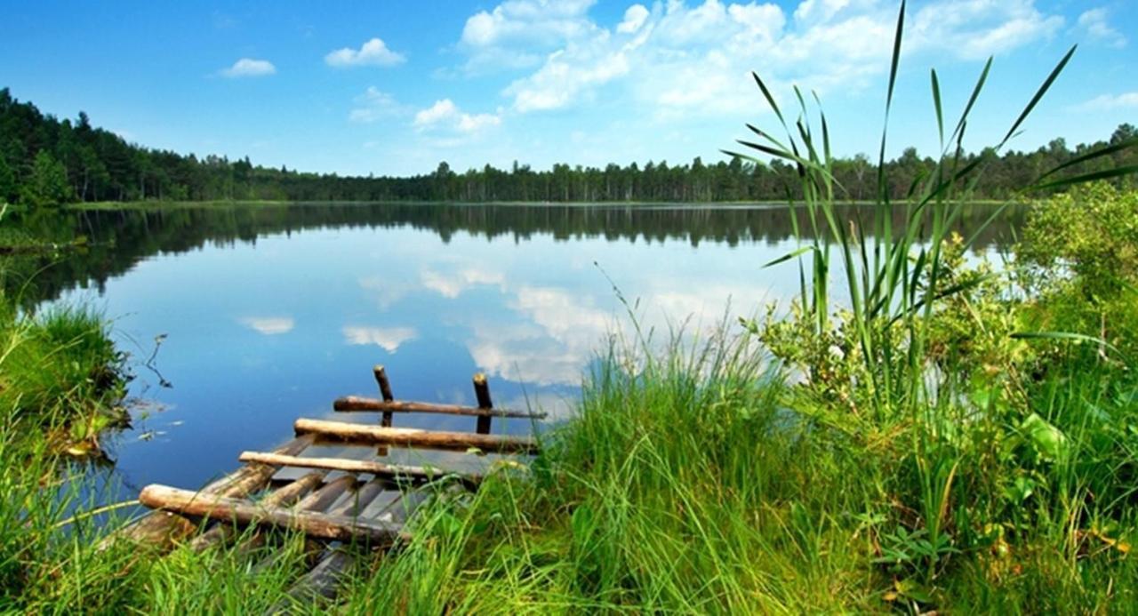 Verano * Osieki (Koszalin)